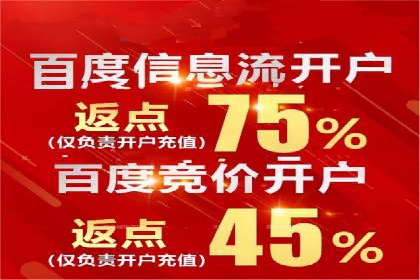 开户返点模式在电商行业的成功案例